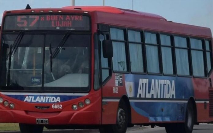 colectivo